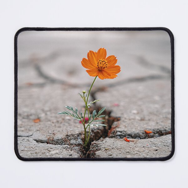 Item preview, Concry designed and sold by RicoInStudios.