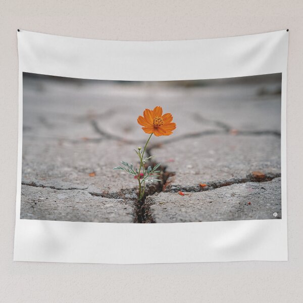 Item preview, Concry designed and sold by RicoInStudios.