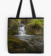 dol-goch -1 Tote Bag