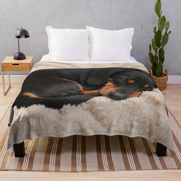 Item preview, Dachshund Napping – Cozy Sleeping Sausage Dog designed and sold by OneMoments.