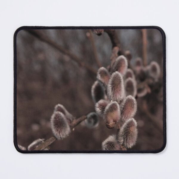 Item preview, Soft Pussy Willow Buds Macro Spring Photography designed and sold by vikko-art.