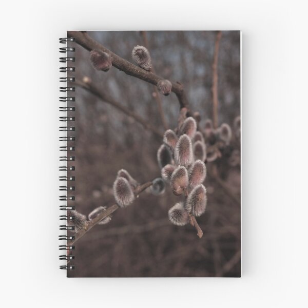 Item preview, Soft Pussy Willow Buds Macro Spring Photography designed and sold by vikko-art.