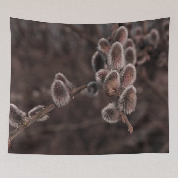 Item preview, Soft Pussy Willow Buds Macro Spring Photography designed and sold by vikko-art.