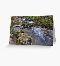 welsh water Greeting Card