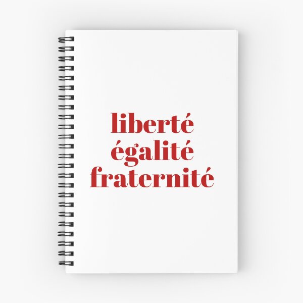 Aperçu de l'œuvre Liberté Égalité Fraternité République Française Citation Art créée et vendue par Mars Babe.