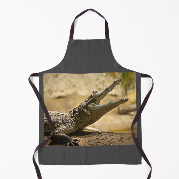 Item preview, Snap! designed and sold by Stephen Jarman.