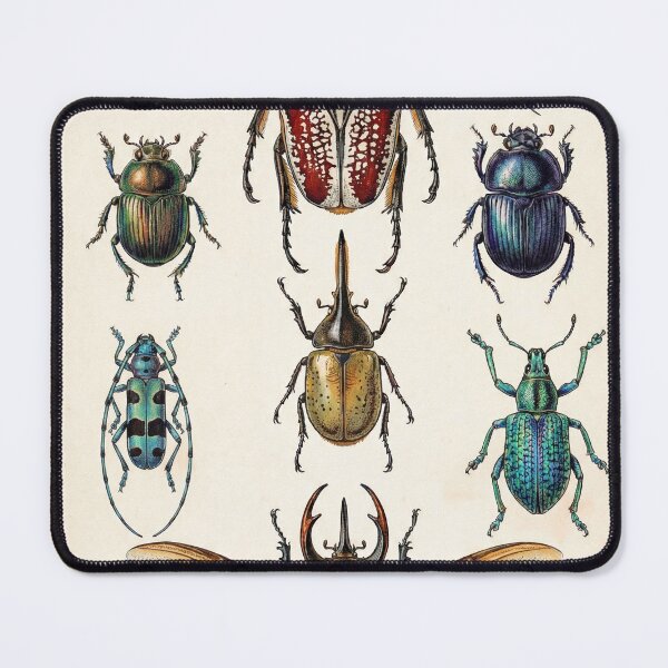 Item preview, Beetles from Around the World designed and sold by wildtribe.