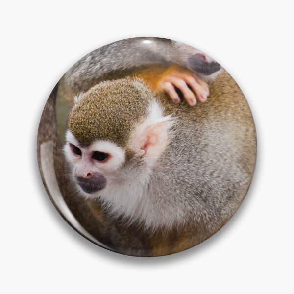 Item preview, Monkey cuddle designed and sold by Stephen Jarman.