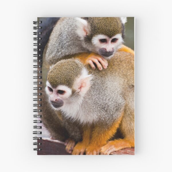 Item preview, Monkey cuddle designed and sold by Stephen Jarman.