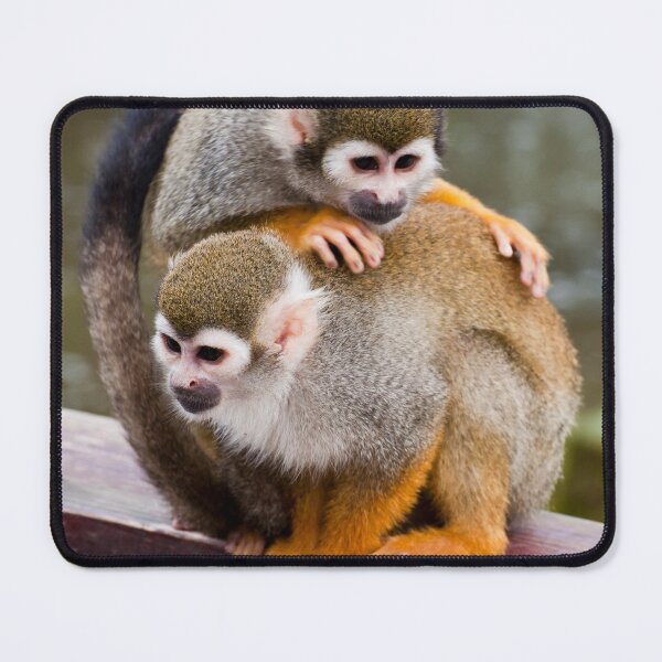 Item preview, Monkey cuddle designed and sold by Stephen Jarman.