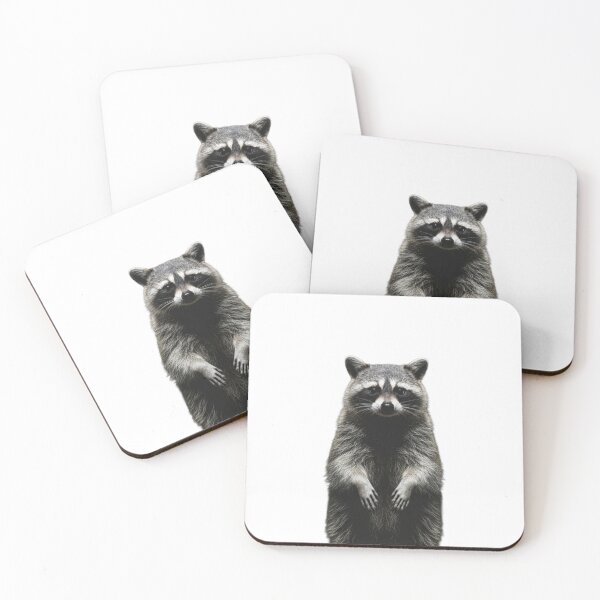 Item preview, Dramatic Raccoon Spotlight Dark Wildlife Portrait designed and sold by LuxeLayouts.