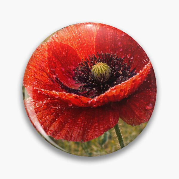 Item preview, Dewlit Meadow Poppy designed and sold by SpicyWind.