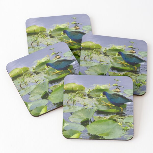 Item preview, American Purple Gallinule  designed and sold by MercerImages.
