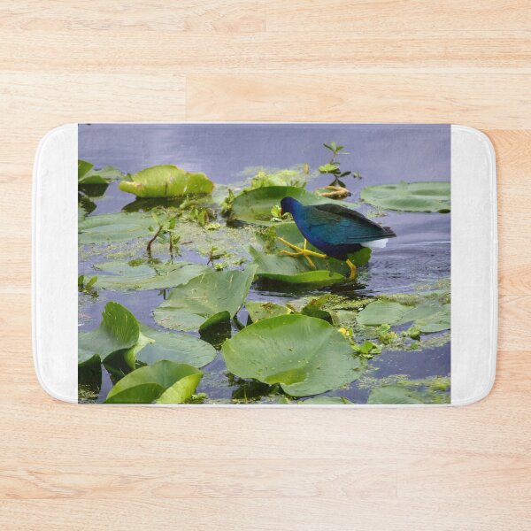 Item preview, American Purple Gallinule  designed and sold by MercerImages.