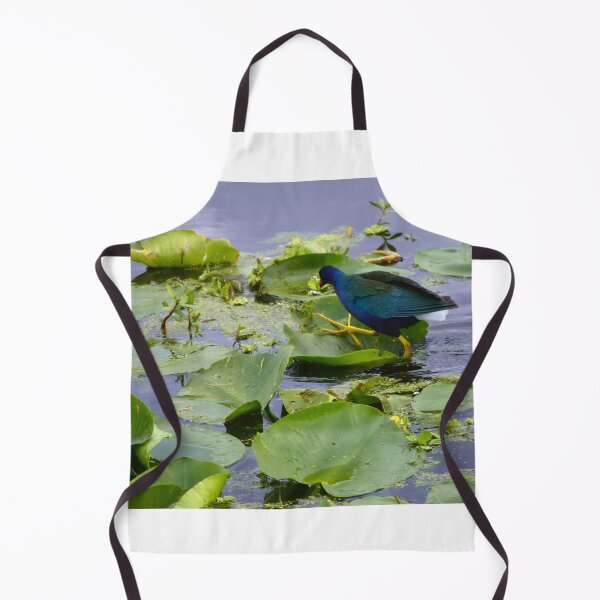 Item preview, American Purple Gallinule  designed and sold by MercerImages.