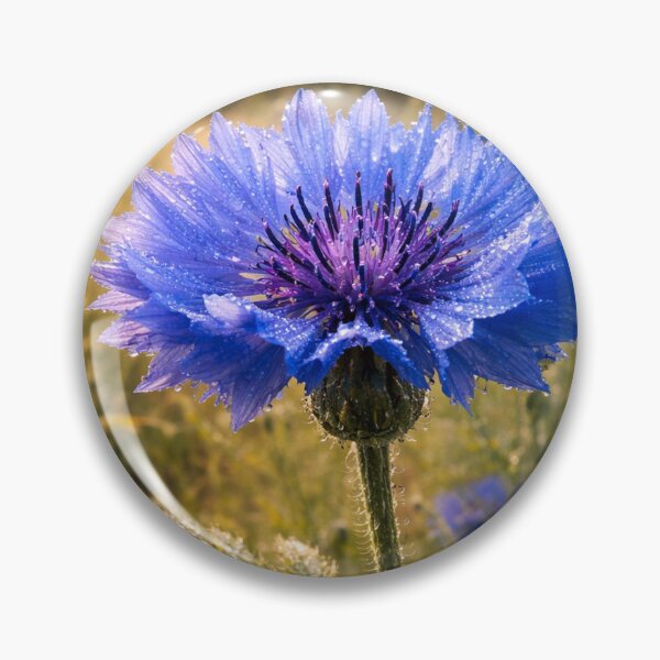 Item preview, Dewlit Cornflower Meadow designed and sold by SpicyWind.