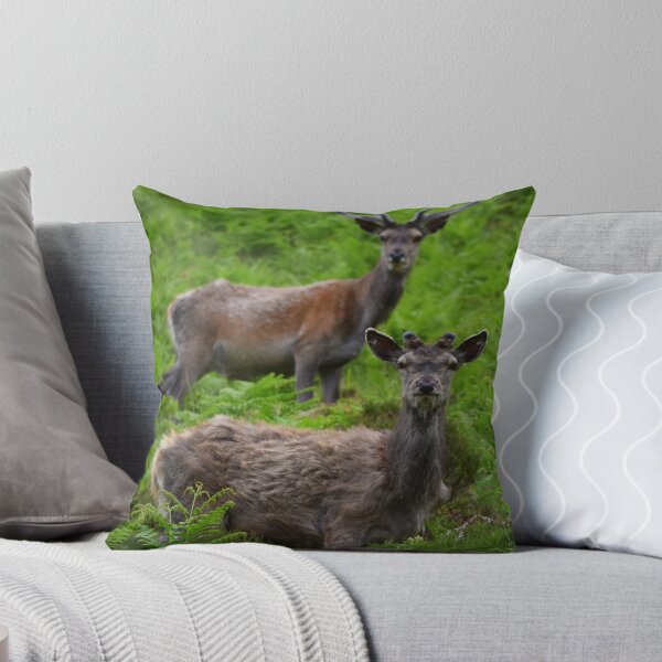 Item preview, Red Deer designed and sold by Rob Parsons (Just a Walker with a Camera).
