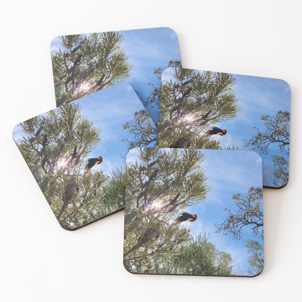 Item preview, Red-tailed black cockatoo in flight designed and sold by NLGoddard.