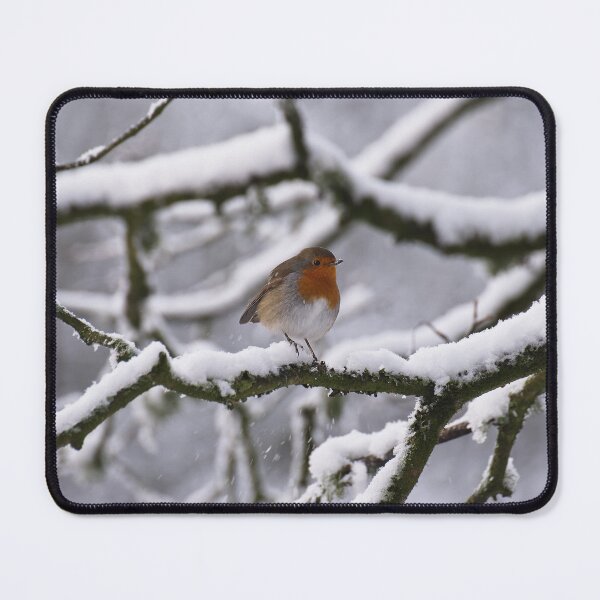 Item preview, Winter robin in snow covered tree designed and sold by Stephen Jarman.