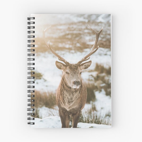 Item preview, Winter Wild Stag designed and sold by LJHortonPrints.