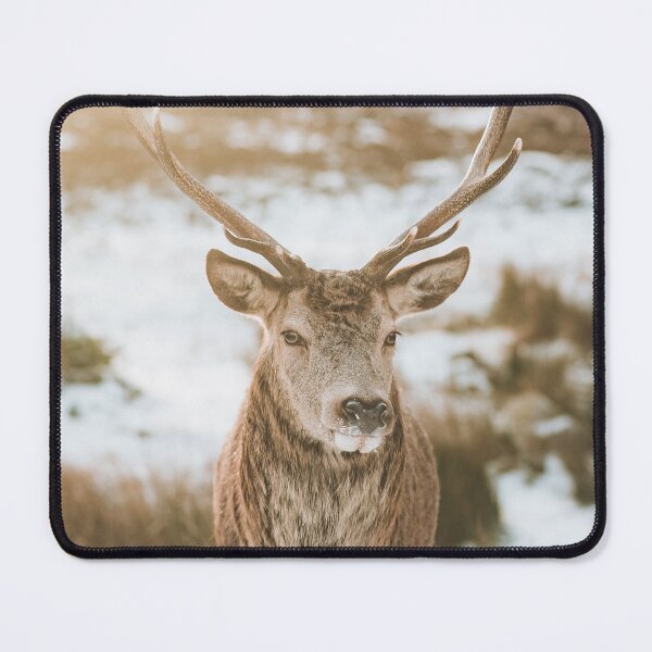 Item preview, Winter Wild Stag designed and sold by LJHortonPrints.