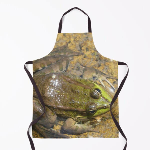 Artikelvorschau, Grüner Frosch von oben gesehen entworfen und verkauft von Syr'photographies.