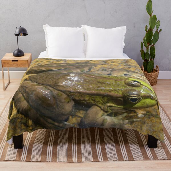Item preview, Green frog view from above designed and sold by Syr'photographies.