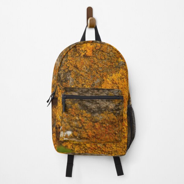 Item preview, Orange moss on the stone 4 designed and sold by felipequeiroz.