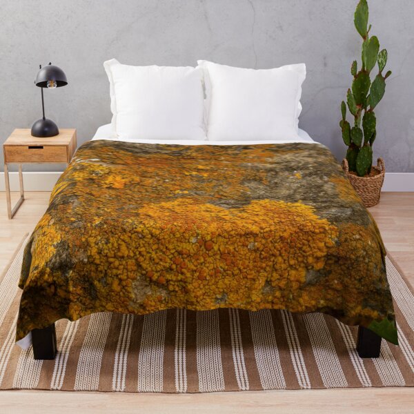 Item preview, Orange moss on the stone 4 designed and sold by felipequeiroz.