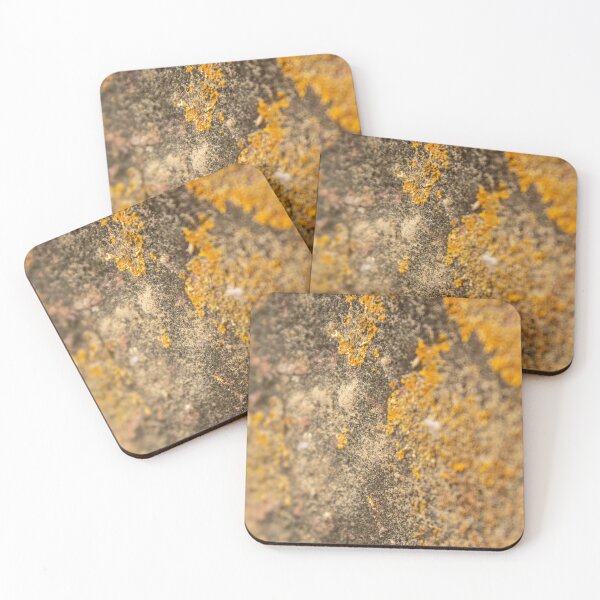 Item preview, Orange moss on the stone 6 designed and sold by felipequeiroz.