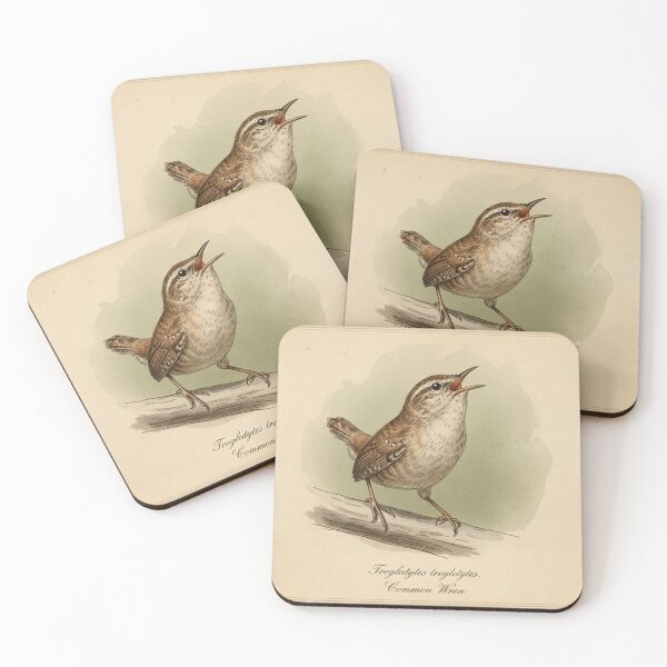 Item preview, Vintage Common Wren Botanical Illustration - Troglodytes troglodytes designed and sold by VistaPainterArt.