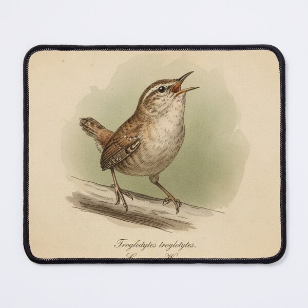 Item preview, Vintage Common Wren Botanical Illustration - Troglodytes troglodytes designed and sold by VistaPainterArt.