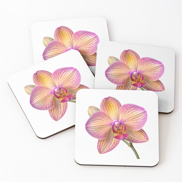 Item preview, Orchid Flower designed and sold by trendspatterns.
