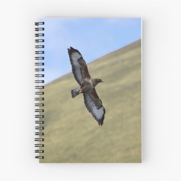 Item preview, The Lake District: Buzzard in the Glenderaterra Valley designed and sold by Rob Parsons (Just a Walker with a Camera).