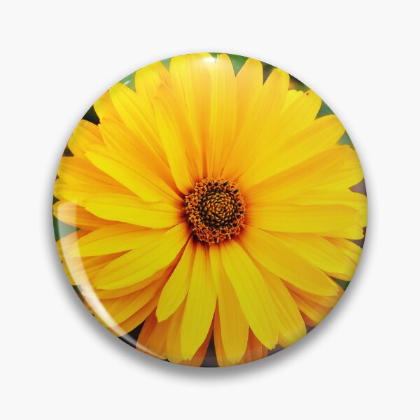 Item preview, Bright Yellow Daisy Flower Close-Up designed and sold by SolaraNature.