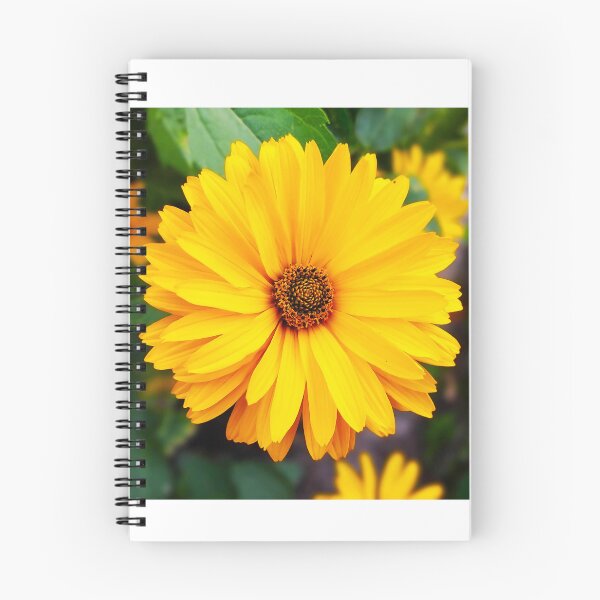Item preview, Bright Yellow Daisy Flower Close-Up designed and sold by SolaraNature.