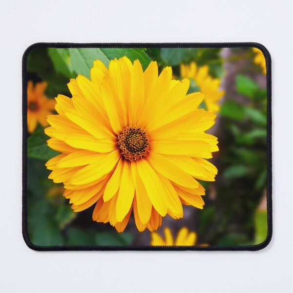Item preview, Bright Yellow Daisy Flower Close-Up designed and sold by SolaraNature.