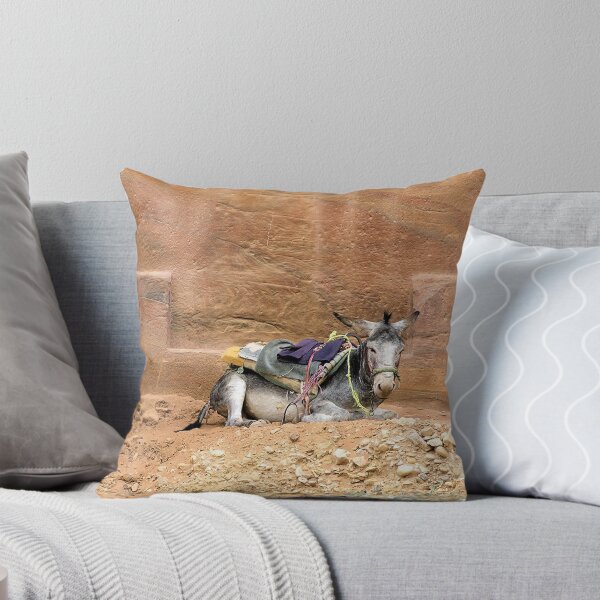 Item preview, The Aesthete, Petra, Jordan designed and sold by Christopher Biggs.