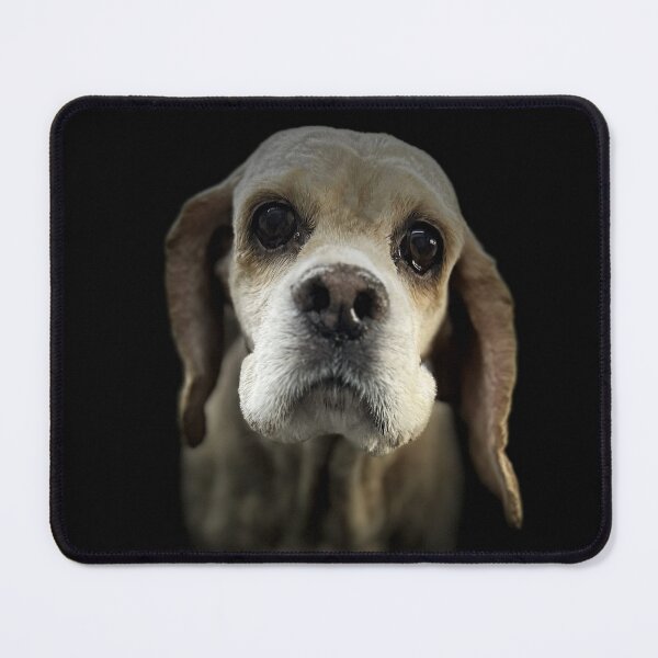 Item preview, Cocker Spaniel Portrait - Shadow Series by Deepline designed and sold by DeeplineArt.