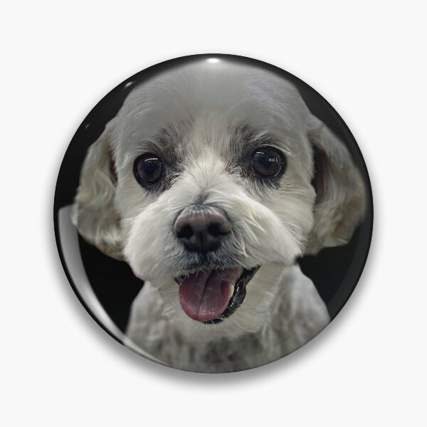 Item preview, Maltese Portrait - Shadow Series by Deepline designed and sold by DeeplineArt.