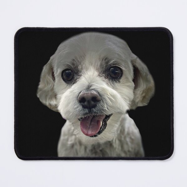 Item preview, Maltese Portrait - Shadow Series by Deepline designed and sold by DeeplineArt.