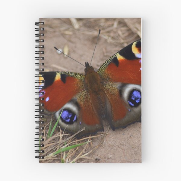 Item preview, Peacock Butterfly designed and sold by Rob Parsons (Just a Walker with a Camera).