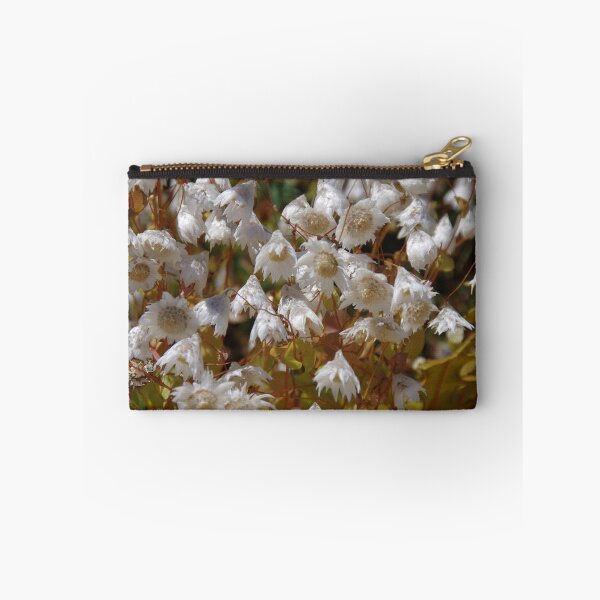 Item preview, Rhodanthe floribunda  designed and sold by lezvee.
