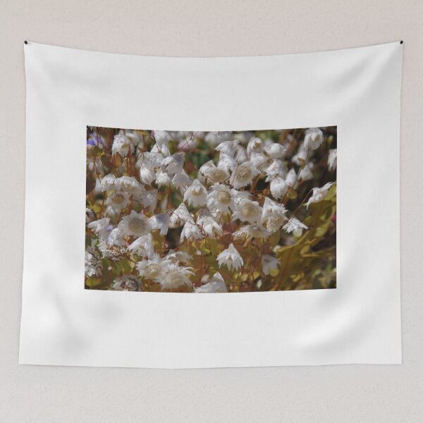 Item preview, Rhodanthe floribunda  designed and sold by lezvee.