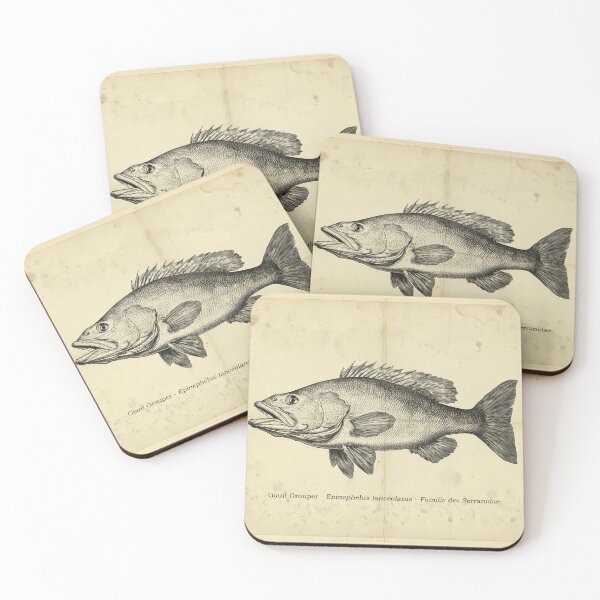Item preview, Vintage Grouper Fish Lithograph designed and sold by Jeeklsdotcom.