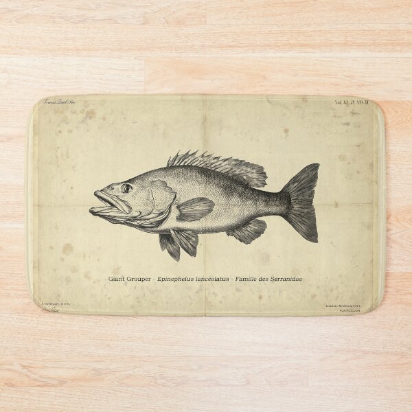 Item preview, Vintage Grouper Fish Lithograph designed and sold by Jeeklsdotcom.