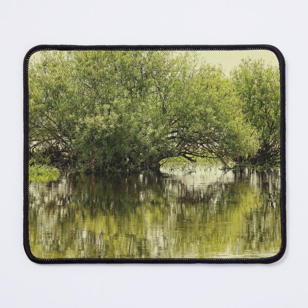Item preview, Two trees in a spring floodplain - retro photo. designed and sold by NaturePhotography.