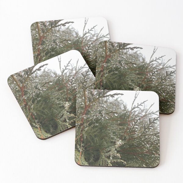 Item preview, Cedar designed and sold by RootedArts.