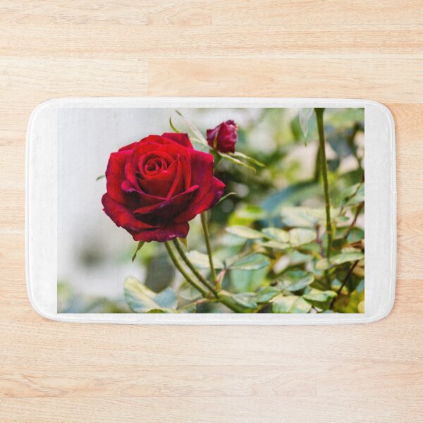 Item preview, Close-Up Of A Red Rose Blooming On A Garden Rosebush With Leaves And Buds designed and sold by Nmallia.