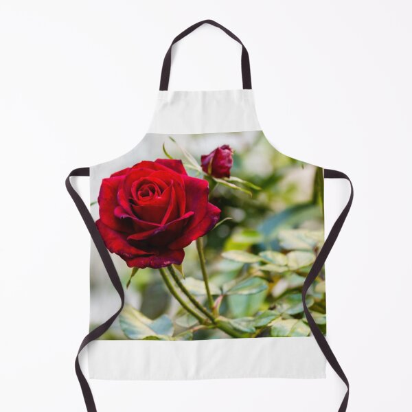 Item preview, Close-Up Of A Red Rose Blooming On A Garden Rosebush With Leaves And Buds designed and sold by Nmallia.